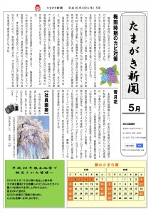 たまがき新聞_H28-05