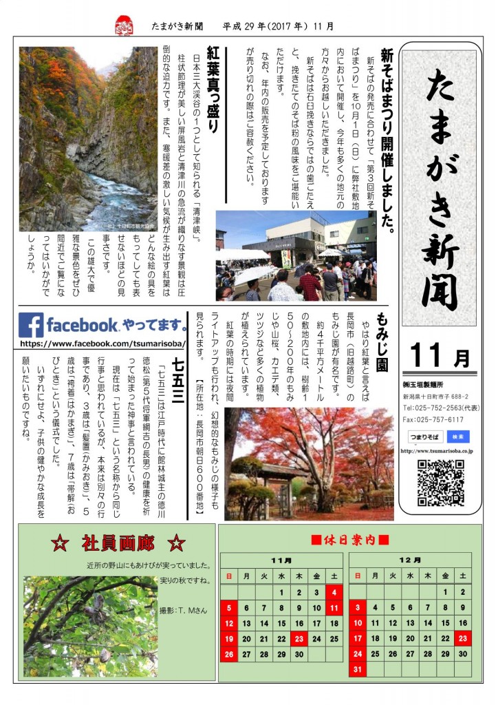 たまがき新聞_H29-11